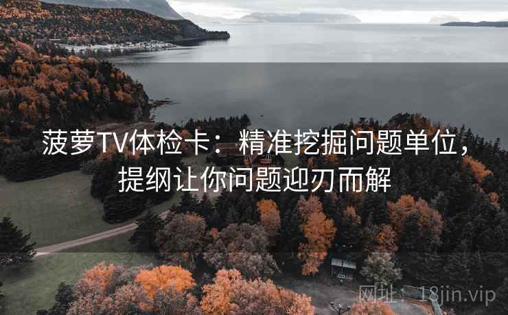 菠萝TV体检卡：精准挖掘问题单位，提纲让你问题迎刃而解